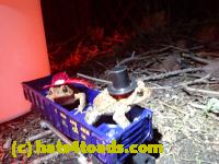 /home//u458753944/public_html/sourcegallery//Roxborough Toad Detour/2013-2019/2017/P4040675.JPG